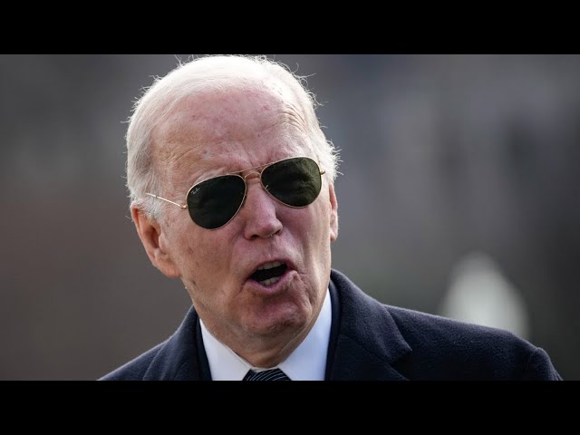 'Mashed potato for brains’: Democrats ‘don’t want you to see’ Joe Biden’s gaffes