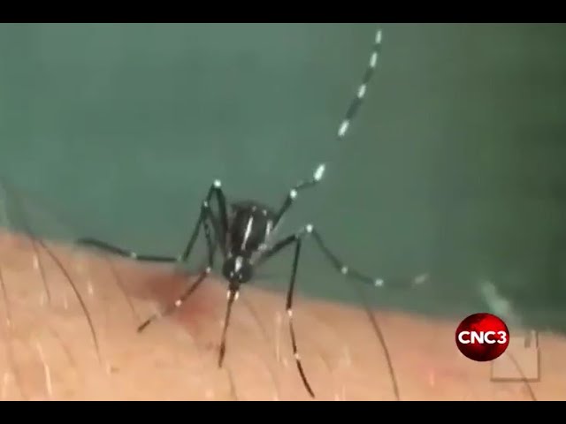 ⁣First death from dengue recorded