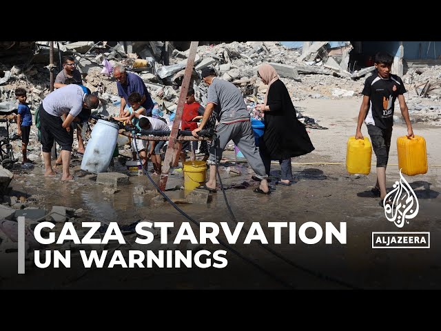 Children starving to death as hunger spreads in Gaza