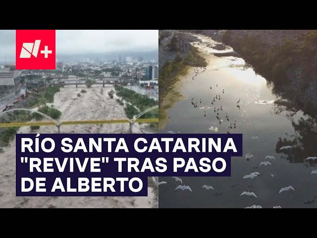 Río Santa Catarina "revive" tras paso de "Alberto" - N+