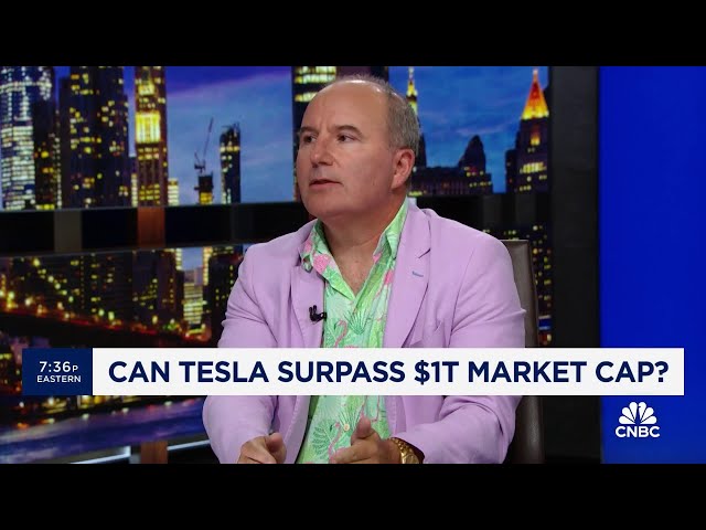 ⁣Tesla is the most undervalued AI play in the market, says Wedbush's Dan Ives