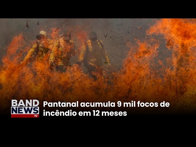 ⁣Em 2024: Pantanal vive a pior temporada de incêndios | BandNews TV