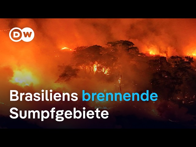 ⁣Viel zu früh im Jahr: Brände wüten im Pantanal | DW Nachrichten