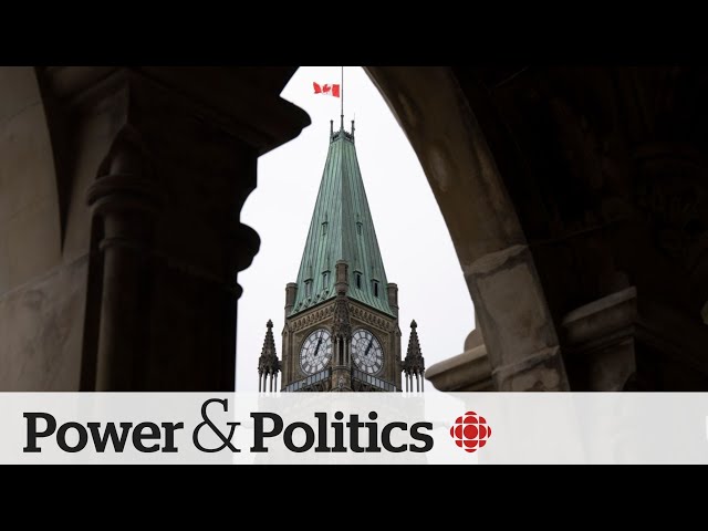 ⁣What can we expect from parliamentarians this summer? | Political Pulse Panel