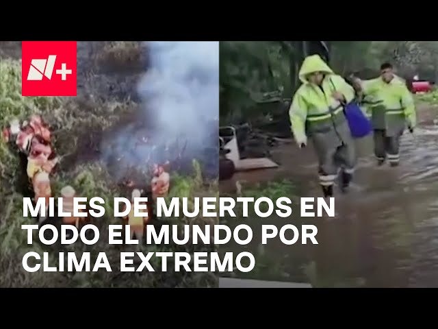 Altas temperaturas, e inundaciones azotan el mundo y dejan miles de muertos - En Punto