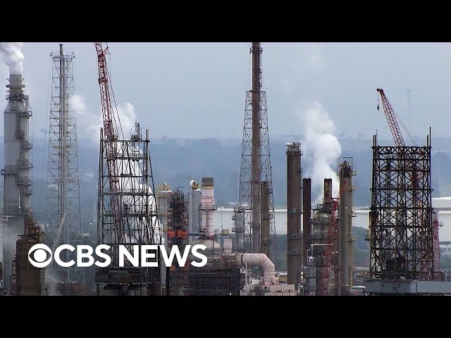 ⁣How some U.S. businesses are helping reduce greenhouse gasses | Climate Watch: Protecting the Planet