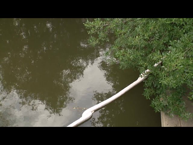 ⁣Oil spills into Rouge River at site of Northville Downs redevelopment