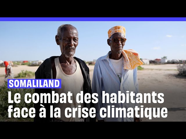 ⁣Changement climatique : Au Somaliland, le combat sans fin des habitants forcés de s'adapter