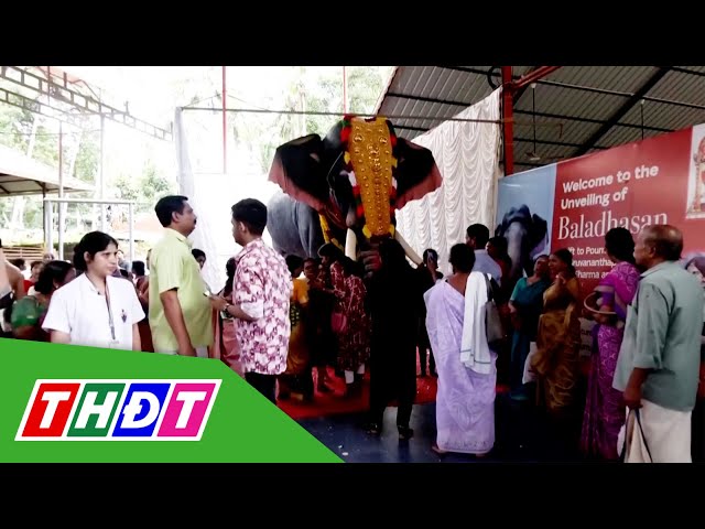 ⁣Ấn Độ: Sử dụng voi robot trong nghi lễ | THDT