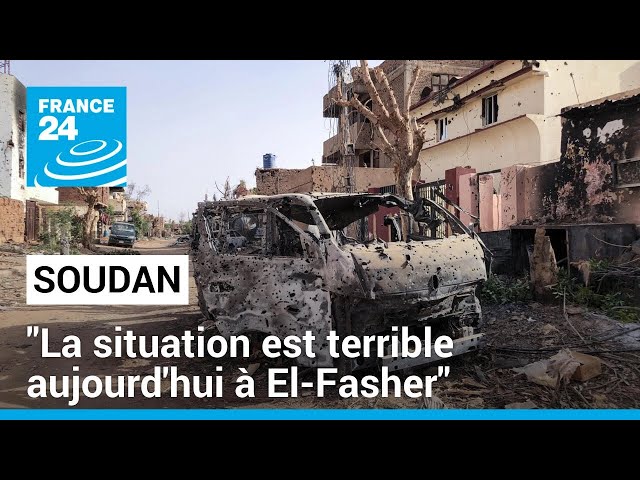 Soudan : "la situation est terrible aujourd'hui à El-Fasher", au Darfour • FRANCE 24