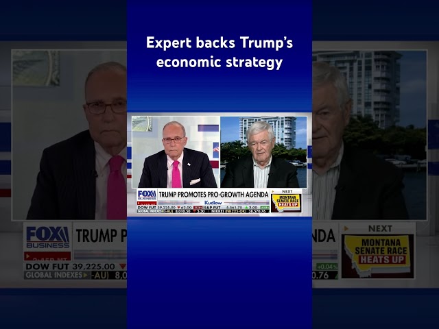 ⁣Trump will create a ‘dramatic burst of prosperity’ to America: Gingrich #shorts