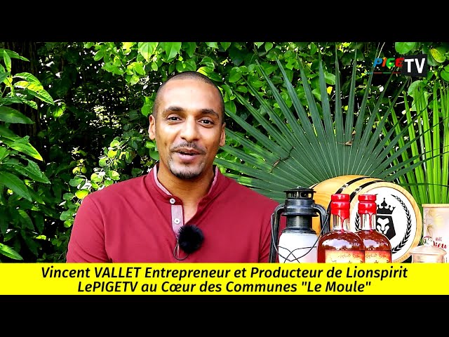 ⁣Vincent VALLET Entrepreneur et Producteur de Lionspirit