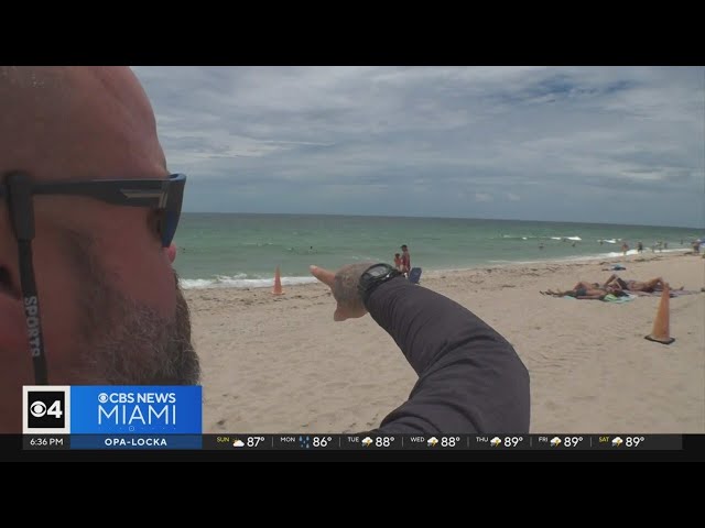 ⁣South Florida water safety expert, tourists react to rip current drownings