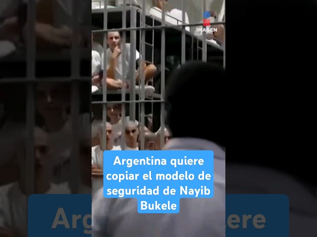 ⁣Argentina quiere copiar el modelo de seguridad de Nayib Bukele | Shorts | Zea