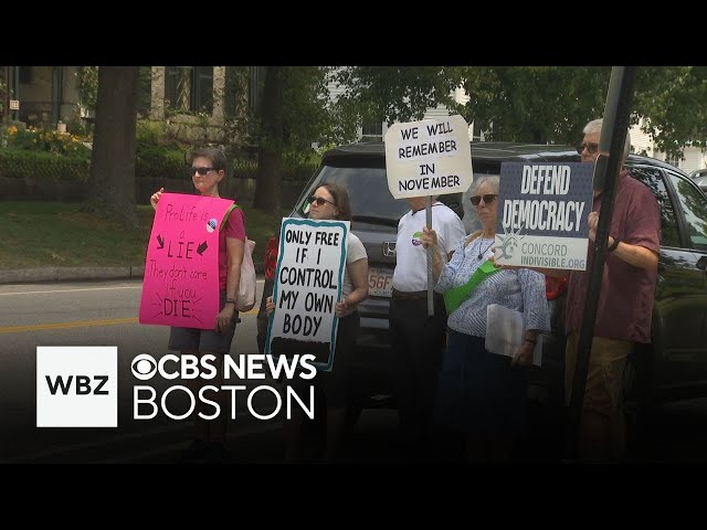 ⁣Rally calling for the protection of reproductive rights held in Concord