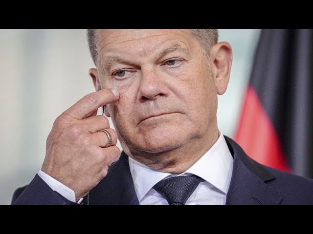 ⁣German Chancellor Scholz 'concerned' about possible far-right win in upcoming French elect
