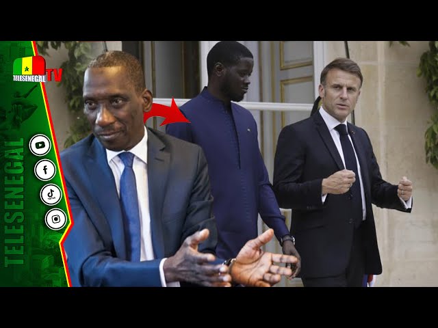 ⁣Nouveau Partenariat France-Sénégal: Mamadou Diop Decroix révèle son sentiment"je suis fière de 