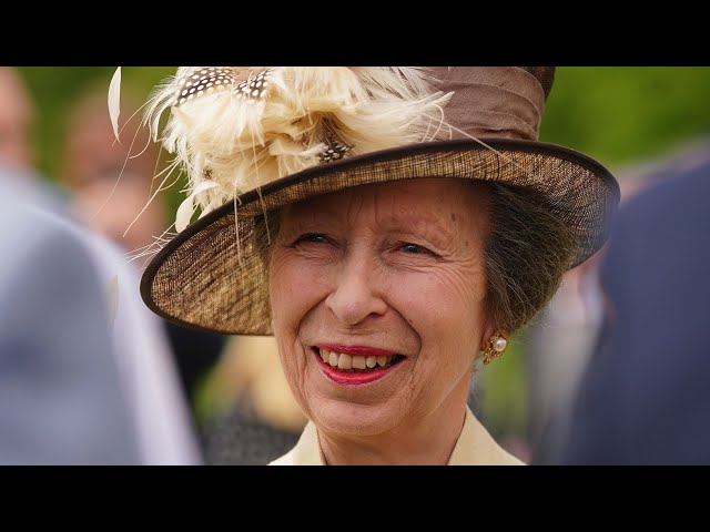 ⁣Princess Anne hospitalized with minor injuries, concussion