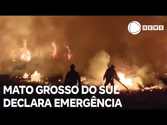 ⁣Mato Grosso do Sul declara situação de emergência em decorrência dos incêndios no estado
