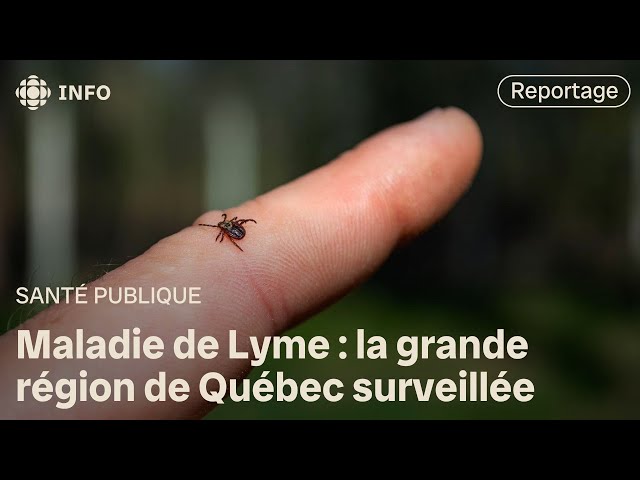 ⁣La région de Québec fait son entrée dans la zone endémique pour la maladie de Lyme