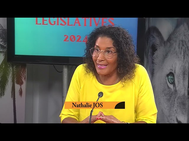 LEGISLATIVES 2024  - Nathalie Jos , 3ème circonscription