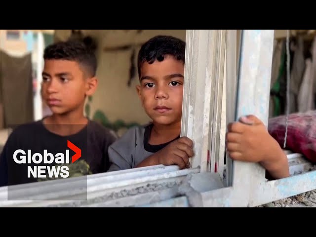 ⁣Child fatalities equate to “about 40% of all deaths in Gaza”: Save the Children International