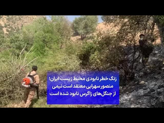⁣زنگ خطر نابودی محیط زیست ایران؛ منصور سهرابی معتقد است نیمی از جنگل‌های زاگرس نابود شده است