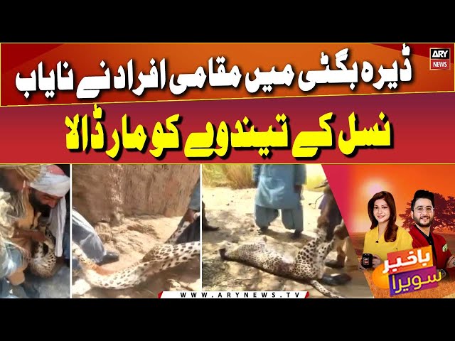 ⁣A rare leopard killed by locals in Dera Bugti