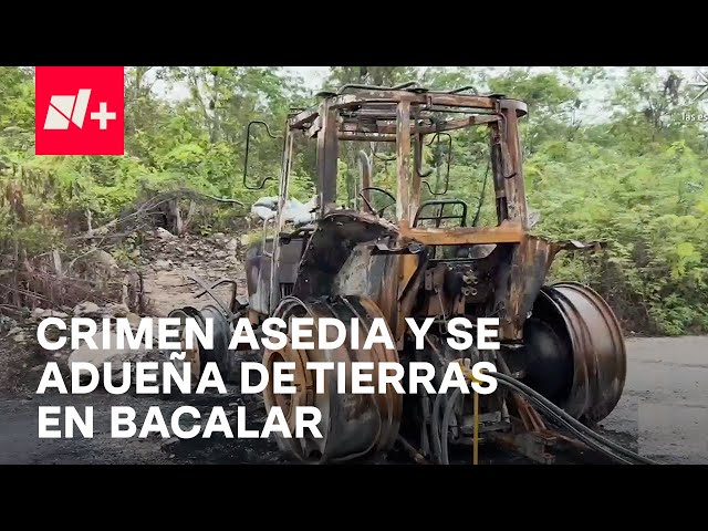 Crimen organizado se apodera de tierras y acosa a pobladores en Bacalar, Quintana Roo - En Punto