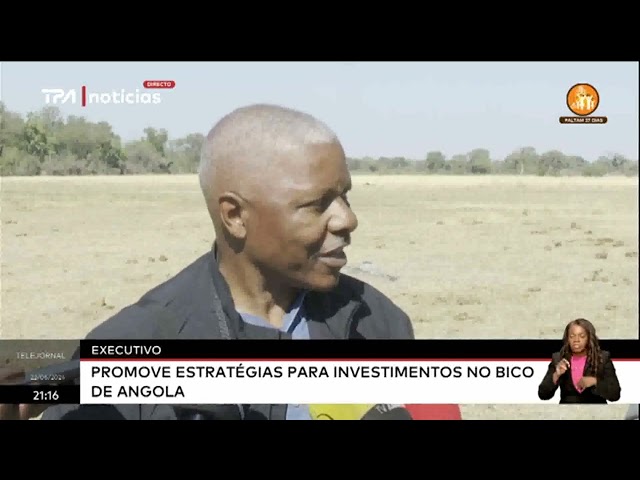 ⁣Executivo - Promove estratégias para investimentos no Bico de Angola