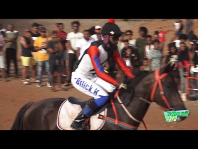 ⁣Égua Marisa vence a corrida de cavalos de San Jon Batista, em São Vicente