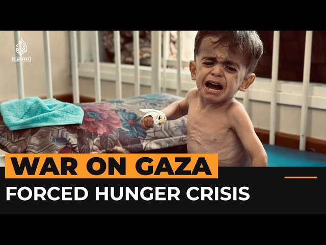 Extent of forced hunger crisis in Gaza revealed in UN report | Al Jazeera Newsfeed