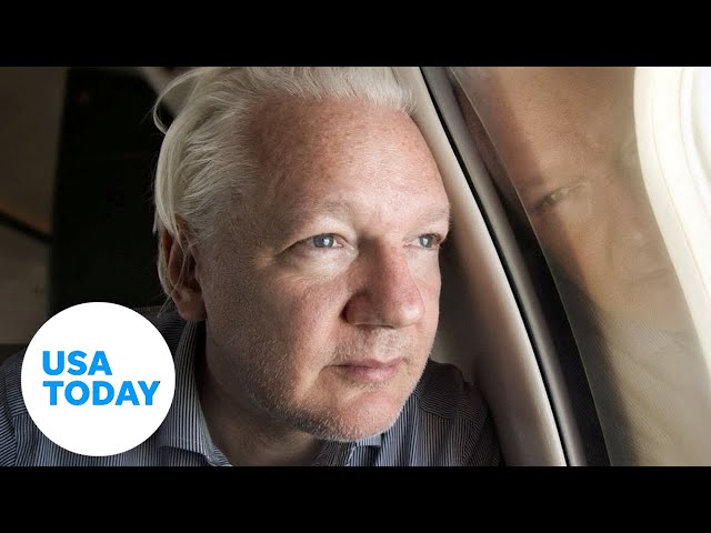 ⁣WikiLeaks founder sentenced to time served for violating Espionage Act | USA TODAY