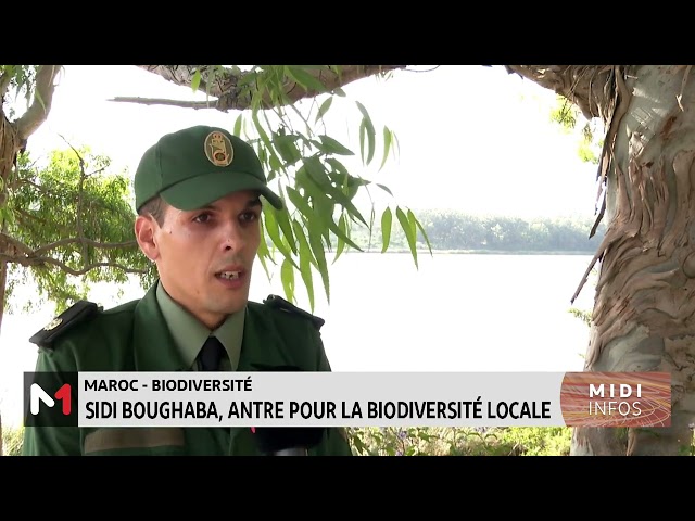 ⁣Maroc-Sidi Boughaba : antre pour la biodiversité locale