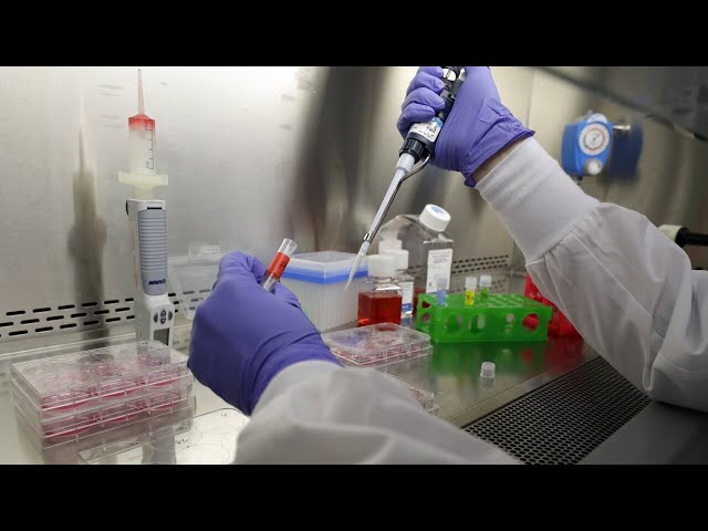 ⁣Australian scientists develop new gene-editing method