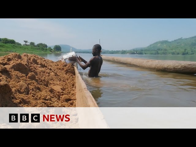 ⁣Eat Bitter: Striving for a better life in the Central African Republic | BBC News