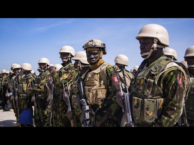 ⁣#PrimeraEmisión| Llegada de policías kenianos lleva optimismo a ciudadanos haitianos