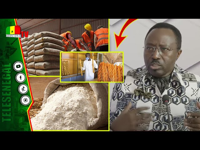 ⁣Crise état Vs industriels: Momar NDAO ASCOSEN vilipende les meuniers, boulangers et cimenteries