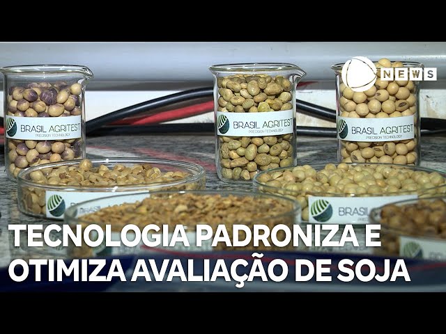 Tecnologia padroniza e otimiza avaliação de soja