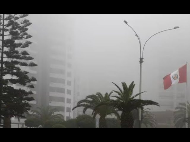 ⁣Senamhi: Lima y Callao se encuentran casi al 100 % de humedad