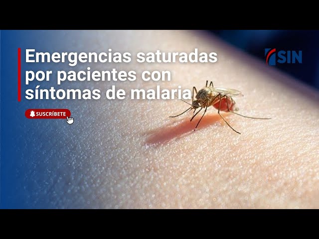⁣#EmisiónEstelarSIN: COVID, Malaria y emergencia
