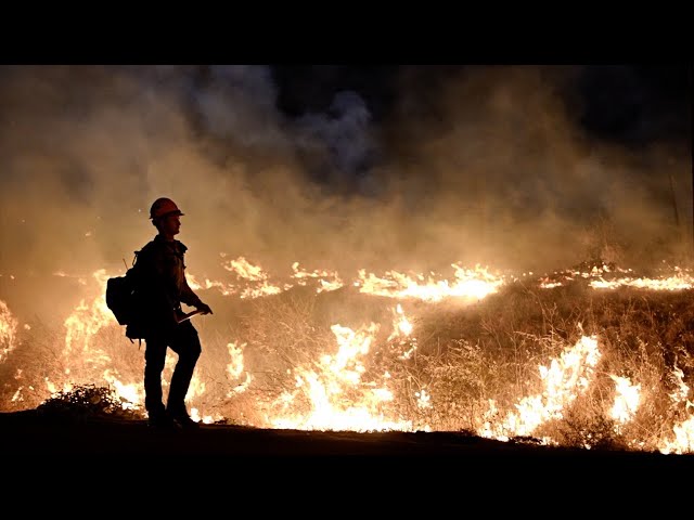 ⁣Stopping fire with fire: How Kern County Fire Department handles prescribed burns