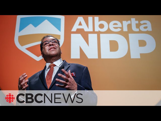 ⁣Naheed Nenshi is the new leader of the Alberta NDP. Now what?