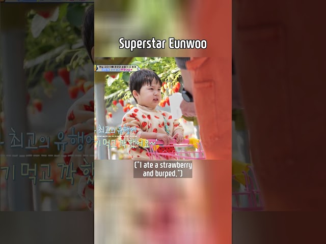 Superstar Eunwoo #TheReturnofSuperman | KBS WORLD TV