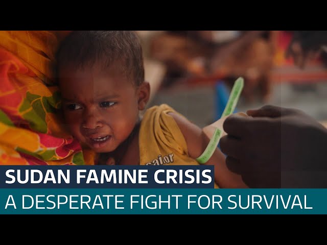 ⁣Famine rises in war-torn Sudan with over 750,000 at risk of dying from starvation | ITV News