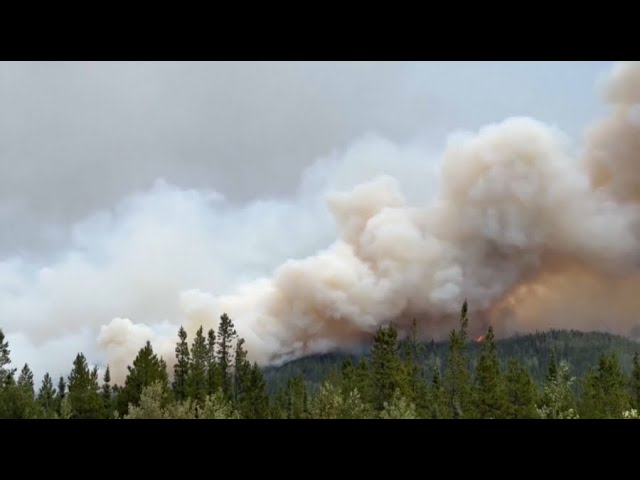 ⁣Лесные пожары в Канаде стали рекордными по количеству вредных выбросов