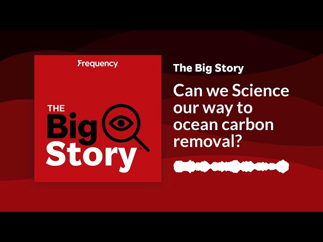 ⁣Can we Science our way to ocean carbon removal? | The Big Story