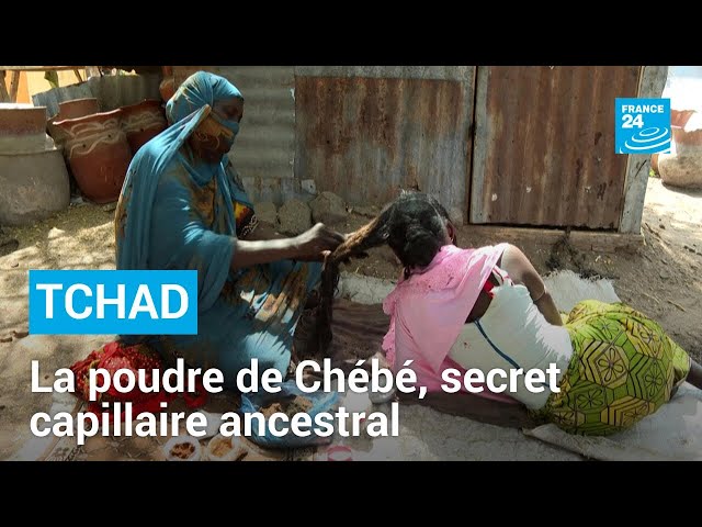 ⁣Tchad : la poudre de Chébé, secret capillaire ancestral • FRANCE 24
