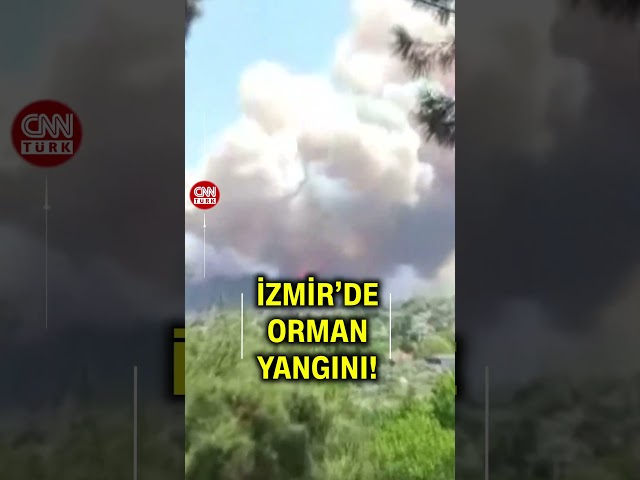 ⁣İzmir'de Orman Yangını: Uçaklar Ve Helikopterler Bölgede!
