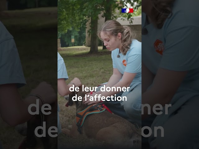 ⁣Rencontrez Clémence, bénévole à la SPA 